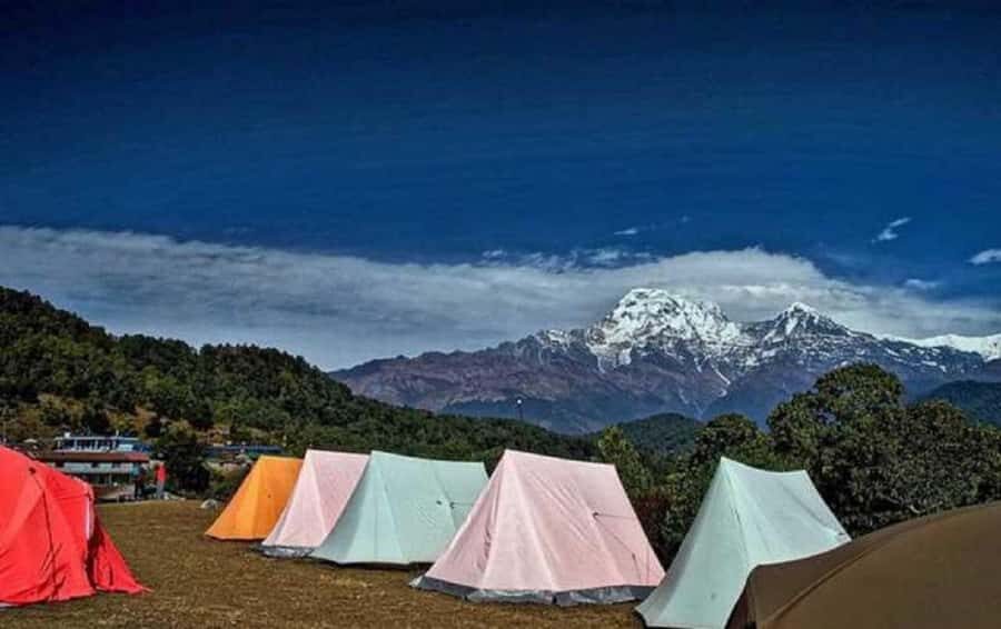 Pokhara: Guided Day Hike From Dampus To Australian Base Camp - Key Things to Know Before You Go
