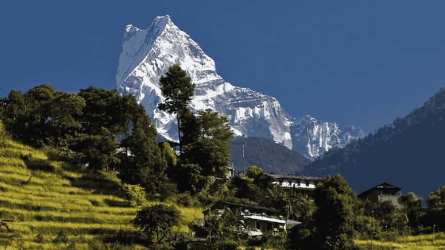Pokhara: Guided Day Hike From Dampus To Australian Base Camp - Dhampus: The Gurung Ridge Start That Sets the Tone