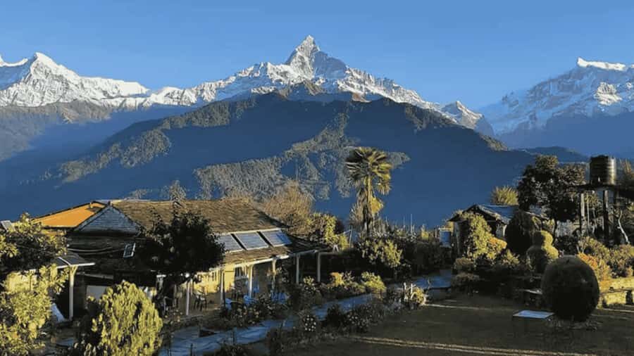 Pokhara: Guided Day Hike From Dampus To Australian Base Camp - Rhododendron Forests and Himalayan Waterfall Energy