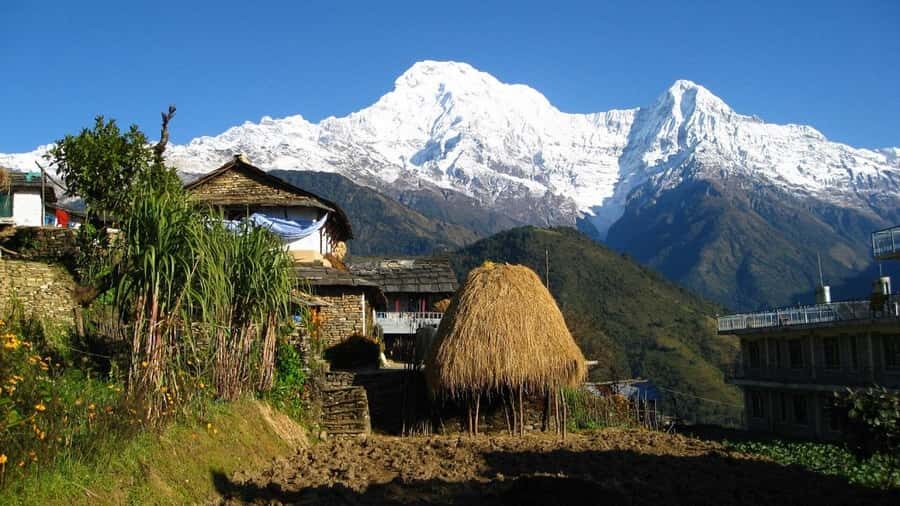 Pokhara: Guided Day Hike From Dampus To Australian Base Camp - Guides Make It: Moti Thapa, Kiran, Santos, and What They Add
