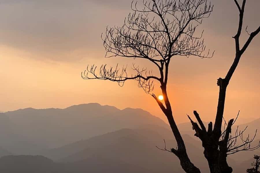 Pokhara: Guided Day Hike From Dampus To Australian Base Camp - Price and Value: Is $55 a Fair Deal?