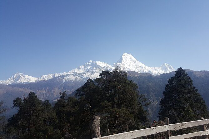 Poon hill Trek 3 days - Day Three: The Sunrise Panorama Over Annapurna and Beyond