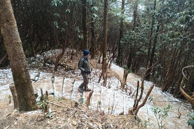 Poon Hill Trek from Pokhara 4 Days - Day 3: Before-dawn hike to Poon Hill sunrise, then Ghandruk