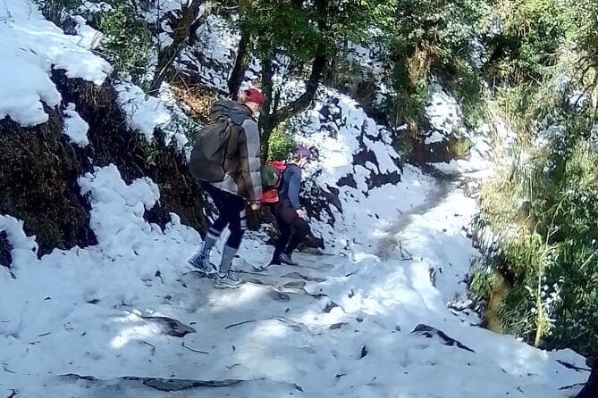 Poon Hill Trek package - Price and value: what $405 really covers