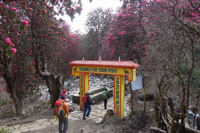 Poonhill Trek - Why Poon Hill Works: Sunrise Views Without a Huge Commitment