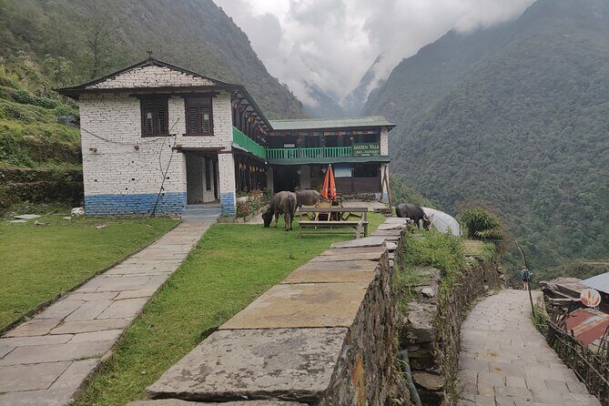Private 12-Day All Inclusive Guided Annapurna Base Camp Trek Tour - Days 3 to 4: Birethanti into Gurung country (Ghandruk and Chhomrong)