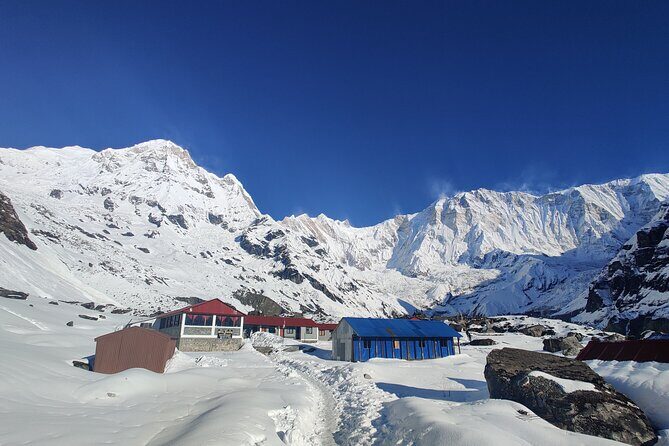 Private 12-Day All Inclusive Guided Annapurna Base Camp Trek Tour - Days 5 to 6: forest switchbacks, village stops, and Deurali tea houses
