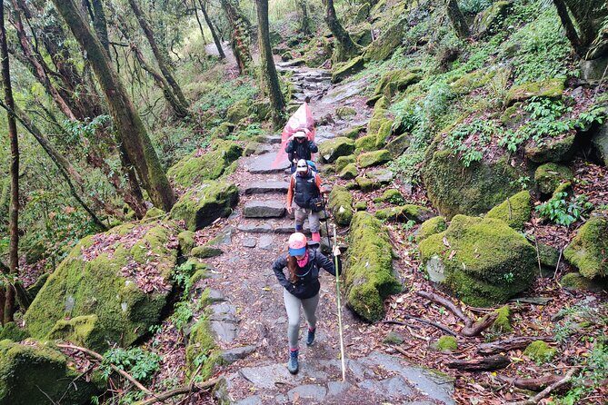 Private 12-Day All Inclusive Guided Annapurna Base Camp Trek Tour - Day 7: Machhapuchhre Base Camp Valley views, then the final push to ABC