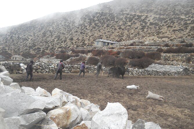 Private 12 - Day Everest Base Camp Trekking - Price and value: what $1,300 covers (and what it doesn’t)