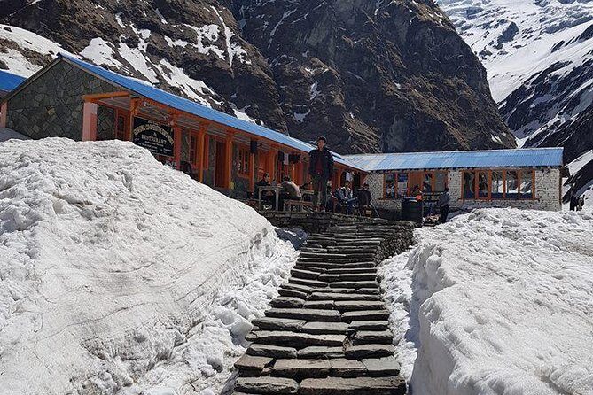 Private 7 - Day Annapurna Base Camp Trekking - Pokhara start: the private trek setup you’ll feel on Day 1