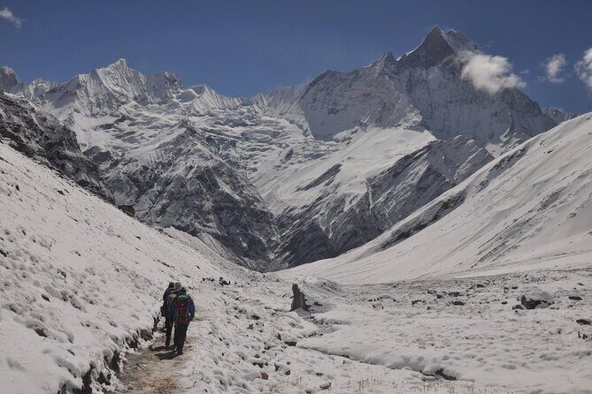 Private 7 - Day Annapurna Base Camp Trekking - Day 4 Deurali to Annapurna Base Camp: Modi River, icy cave, and the big approach