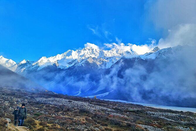 Private 8 - Day Langtang Trekking - Day 6: retracing back toward Lama Hotel through rhododendron forest