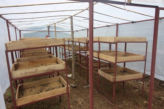 Sarangkot Village Coffee Culture and Authentic Local Life Tour - Key highlights at a glance
