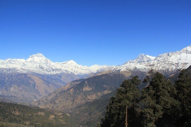 Short Annapurna Base Camp Trek - 7 Days - Annapurna, Machhapuchhre, Dhaulagiri: How the Views Show Up