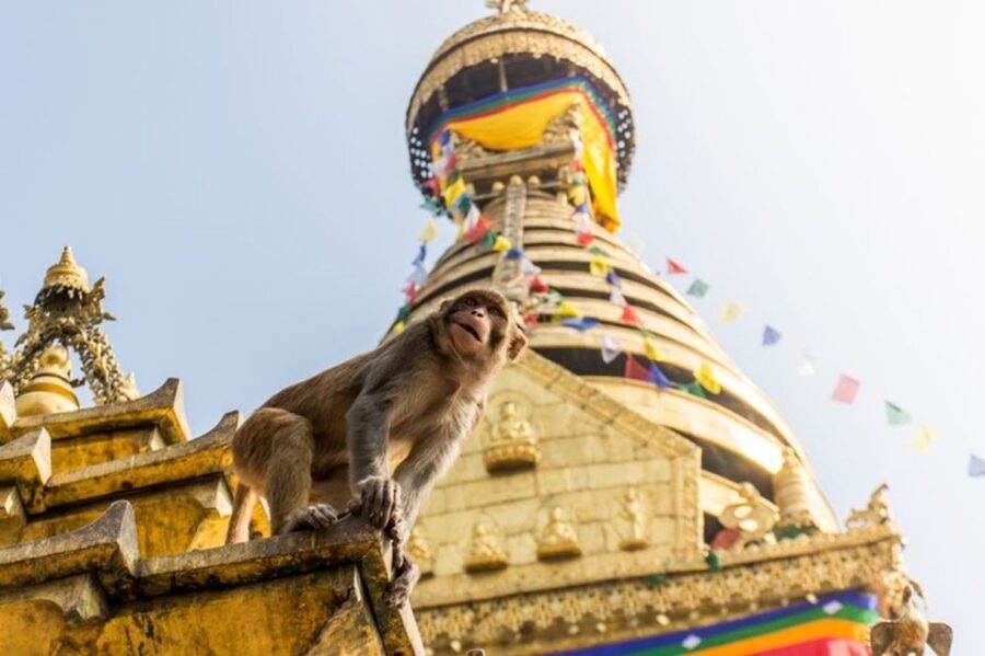Spiritual Nepal: Expert insight into Multifaith Journey - Optional Extras: Palm Reading and Interactions That Have a Cost