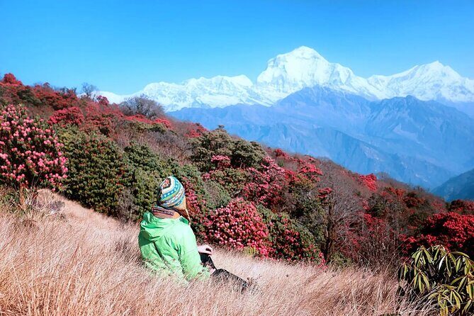 The Best of Nepal : 5-Day Trek to Ghorepani Poon Hill & Ghandruk - Pokhara Lakeside and Nayapool: The Start That Sets Your Pace