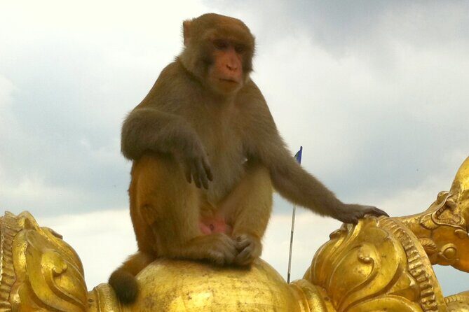 TOP 4 UNESCO World Heritage Sites Tour - Timing, pickup, and the reality of Kathmandu roads